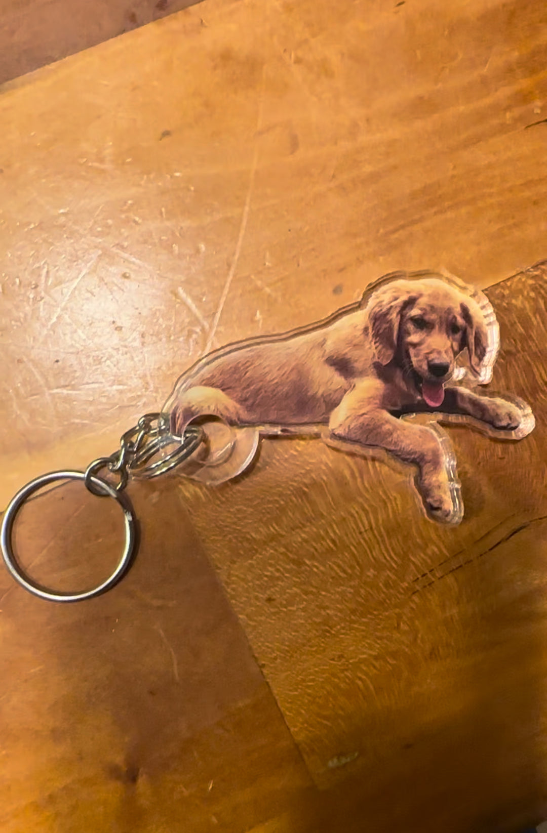 Custom pet keychain