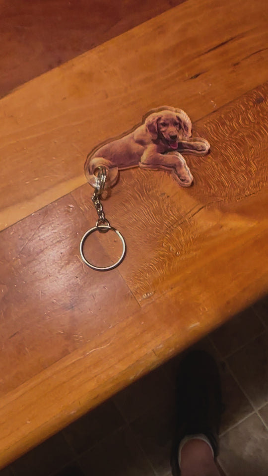 Custom pet keychain