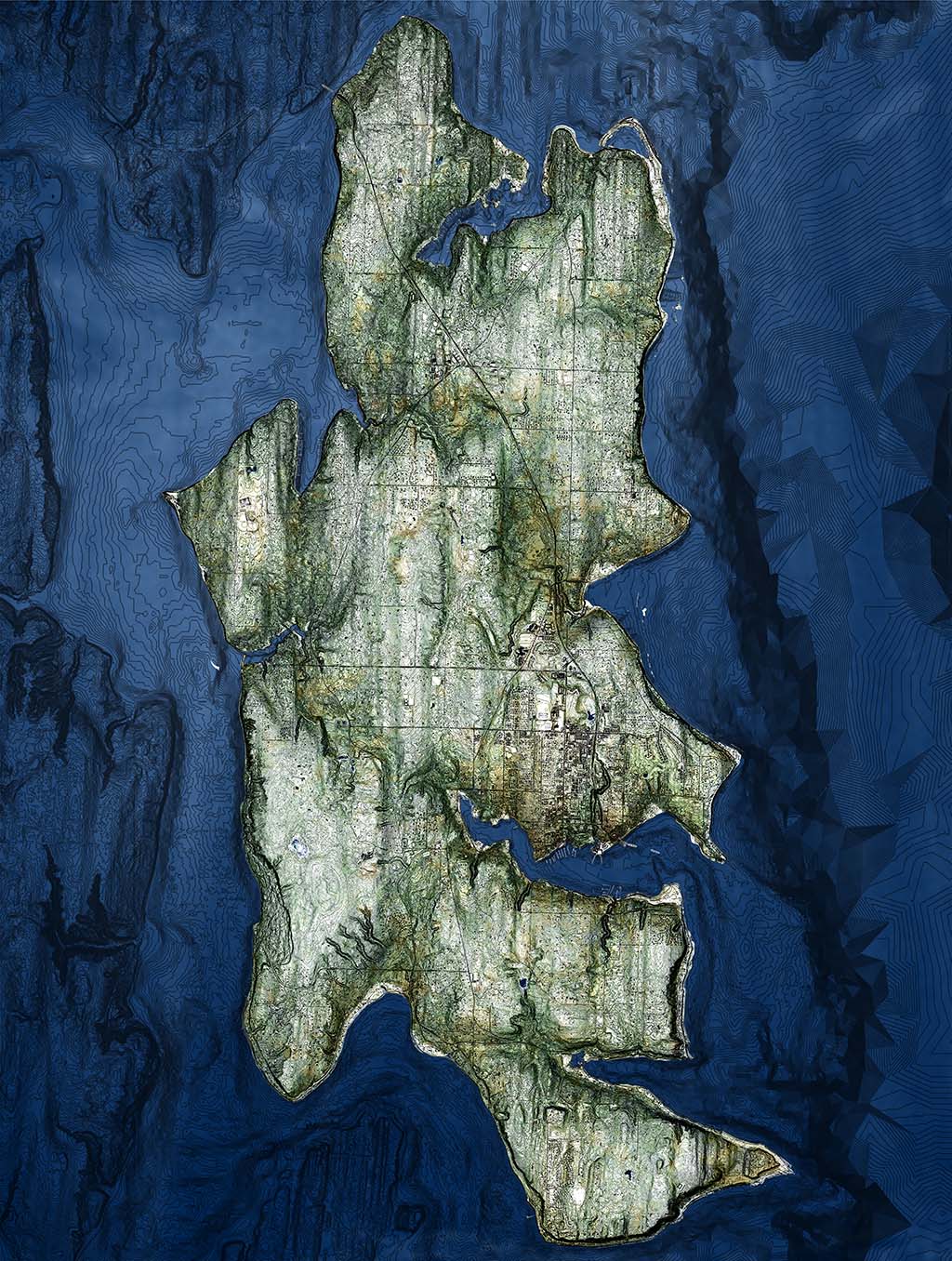 Bainbridge Island- Topo Map - Lidar Image on photo rag